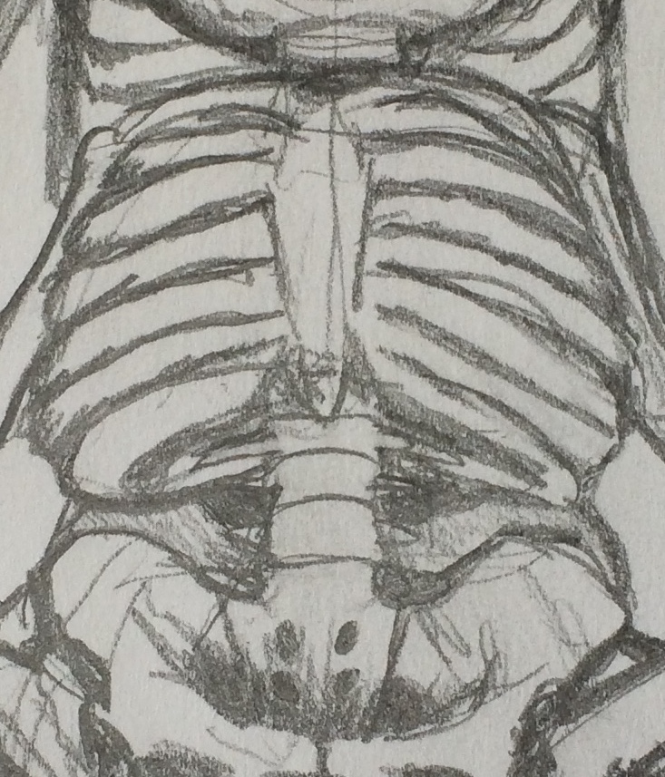 Okiedokie! That& #39;s it for these two, I& #39;ll probably add some stuff about the others. And maybe some more in-depth stuff on which bones to shorten to reduce height?Here& #39;s a few detail shots: