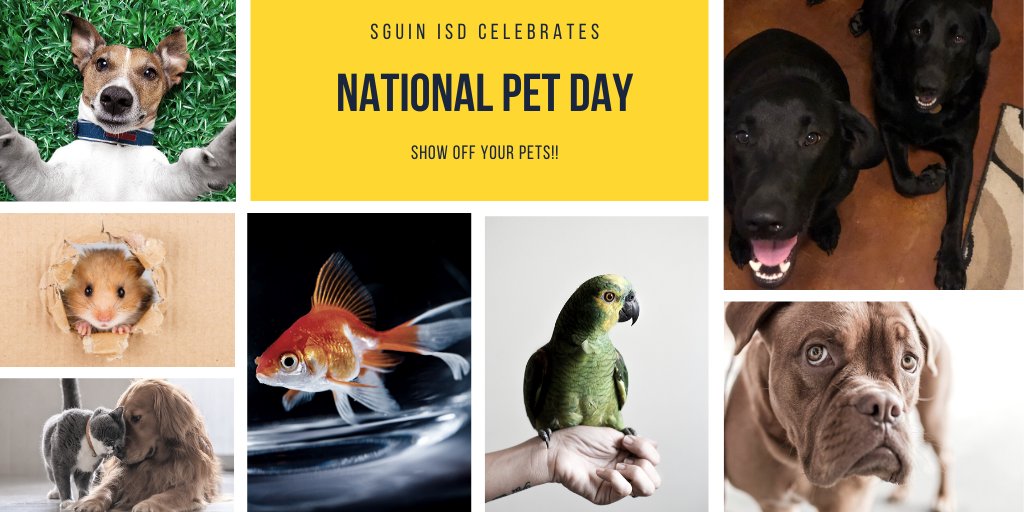 It is National Pet Day, tweet pictures of your pets and tag <a href="/SeguinISD/">Seguin ISD</a>!