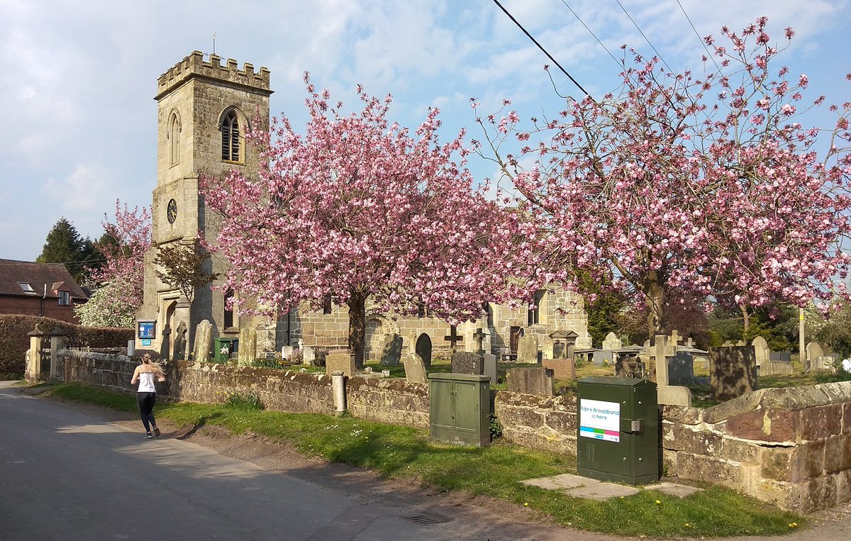 Today in Astley, near Shrewsbury. Broadband and blossom.