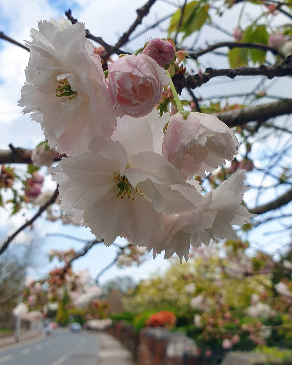 What a day for a stroll! #spring #yaycork #corkcity #cork #2km #corklike