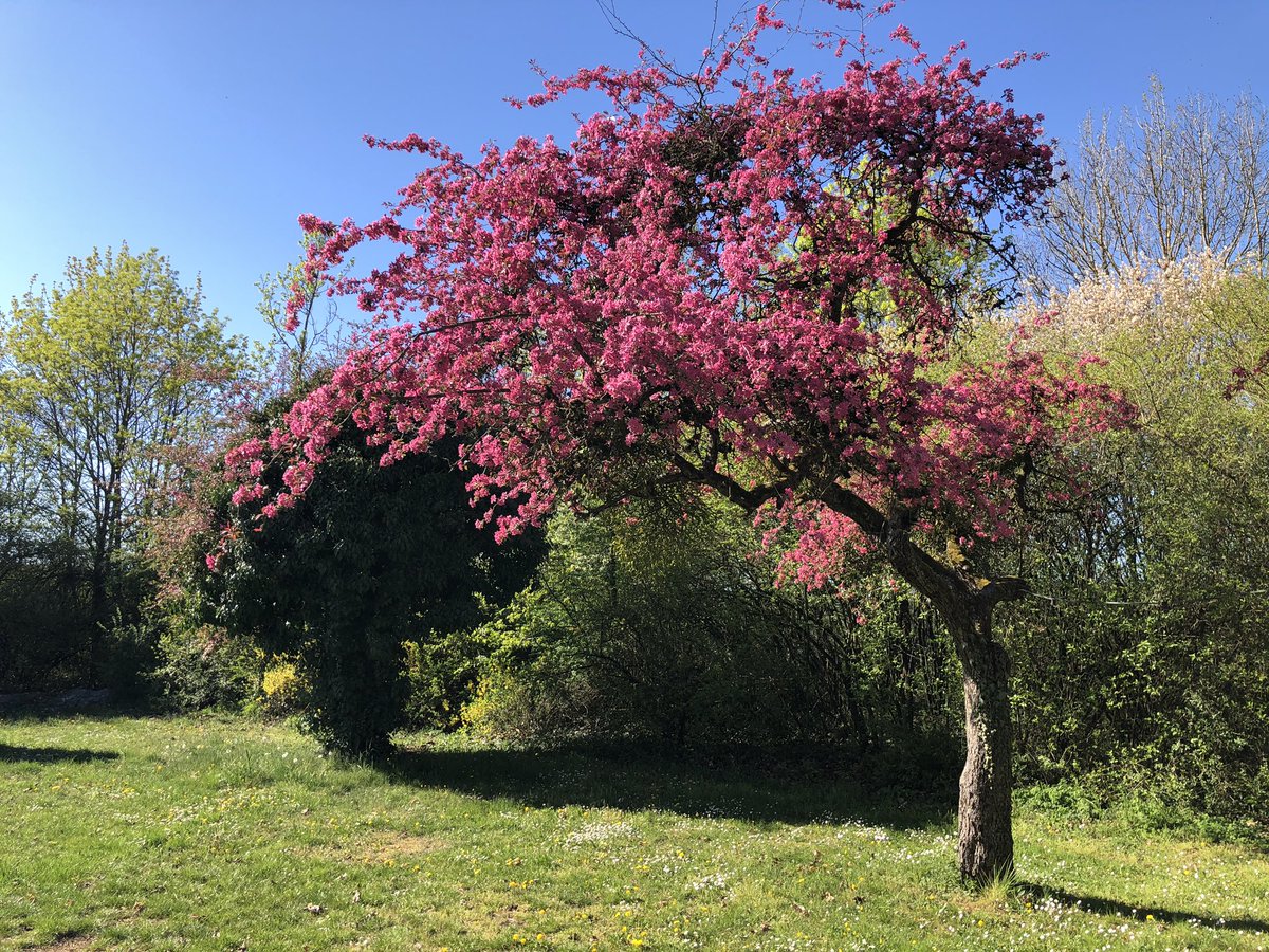 Sehen.. wo der Frühling Einzug hält. Derzeit nur Kontrollbesuche möglich aber immer wieder schön!