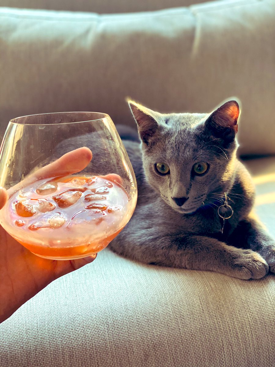 Sebastián Patiño tweet media