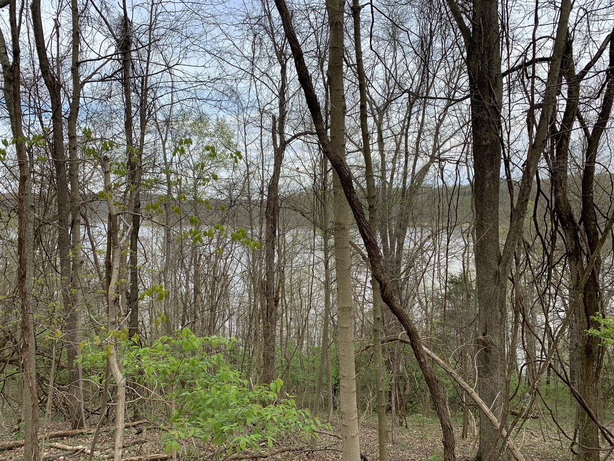 Jason Kershner tweet media