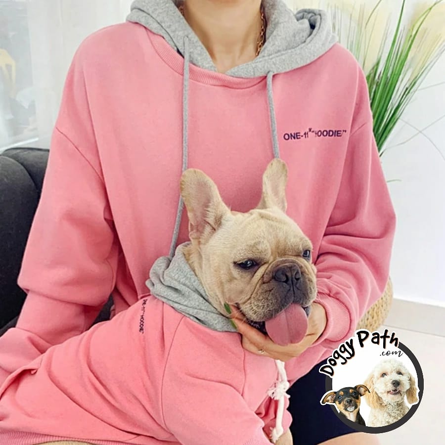 DoggyPath's tweet image. Matching Dog Clothes
Shop now! ↪ @doggypath 
✳ Free Shipping 
 #dogs #dogslife #petcare #petsofinstagram #pets #petsarefamily #petlovers #cutepets #dogsclothes #dogstyle #doggy #dogcustom #dogcare #petcare #furbabylove #furbaby #dogsinjackets