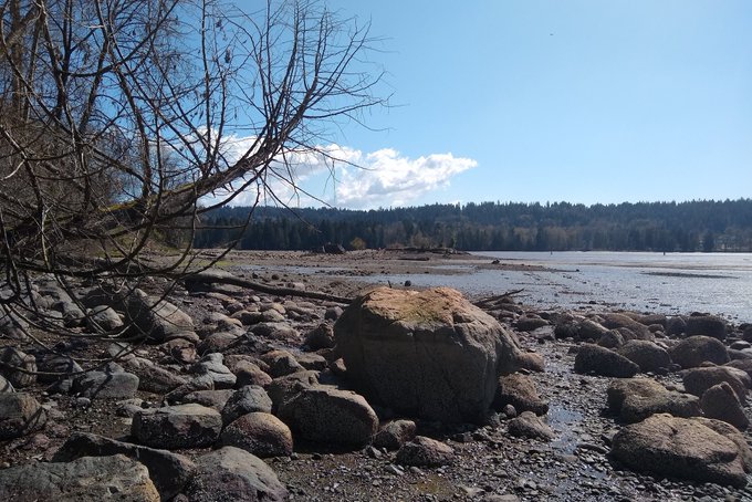 Feeling fortunate that I'm healthy and safe, and have beautiful secluded places like this nearby. But<a href="/tag/maestroandmarie"class="tags"><span>#maestroandmarie</span></a>