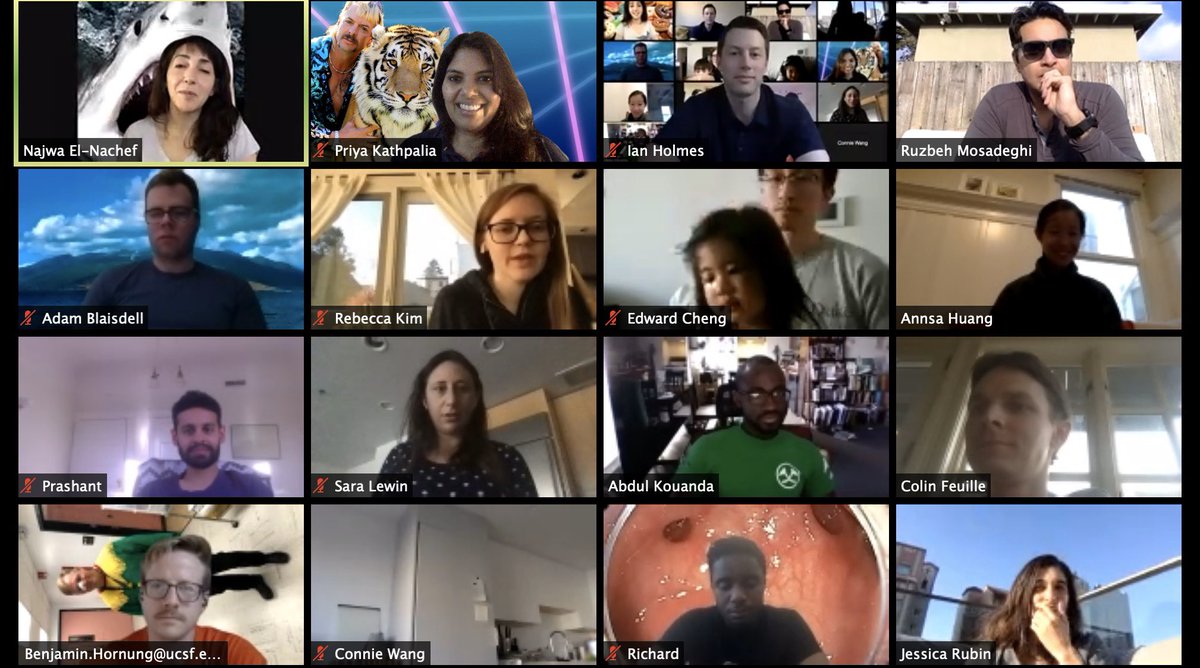 So nice to ‘see’ our #ucsfGI fellows at @zoom_us HH, complete with crazy virtual backgrounds! Proud of all of them for their willingness to help out where needed and adapting to these unprecedented times! <a href="/UCSF/">UC San Francisco</a>