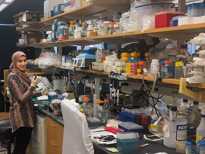 HHMI (@hhminews) on Twitter photo To prevent the spread of #COVID19, HHMI Investigator Steve Elledge’s lab has emptied out. However, he, Nouran Abdelfattah (<a href="/Abdelfattah_NS/">Nouran Abdelfattah</a>) (shown), & six other researchers have continued working in person, under new safety rules, studying the coronavirus: bit.ly/2XlVyAZ To prevent the spread of #COVID19, HHMI Investigator Steve Elledge’s lab has emptied out. However, he, Nouran Abdelfattah (<a href="/Abdelfattah_NS/">Nouran Abdelfattah</a>) (shown), & six other researchers have continued working in person, under new safety rules, studying the coronavirus: bit.ly/2XlVyAZ