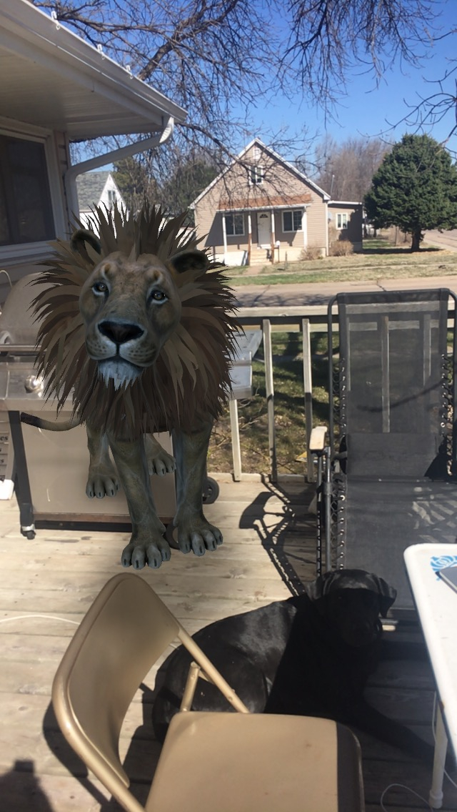 naturallybe_em's tweet image. Some Google fun from the other day! 😋This was probably more fun for the nieces and nephews than for the dogs!! Miss Raven Quill was very unimpressed!! 🤣

#google #googlefun #viewin3d #sunshine #niecesandnephews #kidswithfourpaws #ravenquill #unimpressed #ithoughtitwasfunny