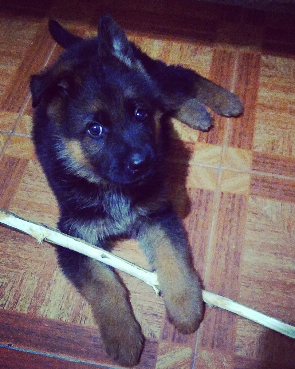 Me tiene así 😍