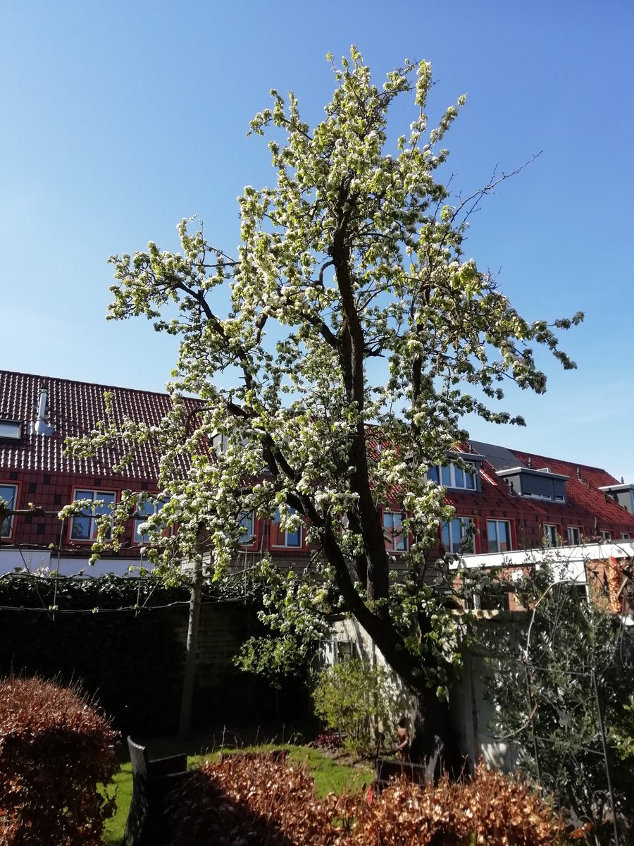 Marco_Mulders's tweet photo. #Proosterhout #Oosterhout #bombast. https://t.co/P4xpLJS9A3