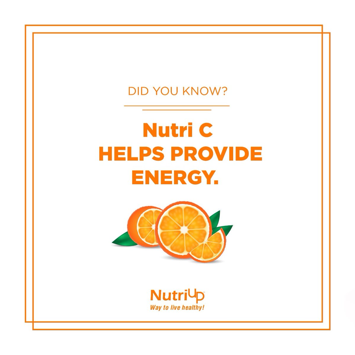 NutriUpIndia's tweet photo. Help boost your immune system with Nutri C by NutriUp.
These products can all assist in boosting your immunity with the goodness of Orange which is a major Source of Vitamin C which helps to fight against bacteria and viruses such as COVID-19.
#NutriUp #WayToLiveHealthy #NutriC https://t.co/C46UzA54ce