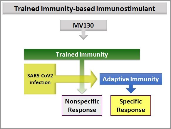 JoseSubiza's tweet photo. #INMUNOTEK invited to present its project MV130 in the “Roadshow of International Innovative Technology against COVID-19”. MV130 confers antiviral resistance through the induction of trained (innate) immunity.
#covid19 #trainedimmunity #TIbV
https://t.co/by7MgeMhoe https://t.co/wfg5Y17NGV