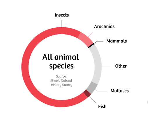 Our disregard towards the invertebrate is even enshrined in law. Legislation that protects animals only protects 2% of them! The other 98% – the ones  #InverteFest highlights – supposedly don't feel pain, although there's no scientific proof backing this claim. 6/