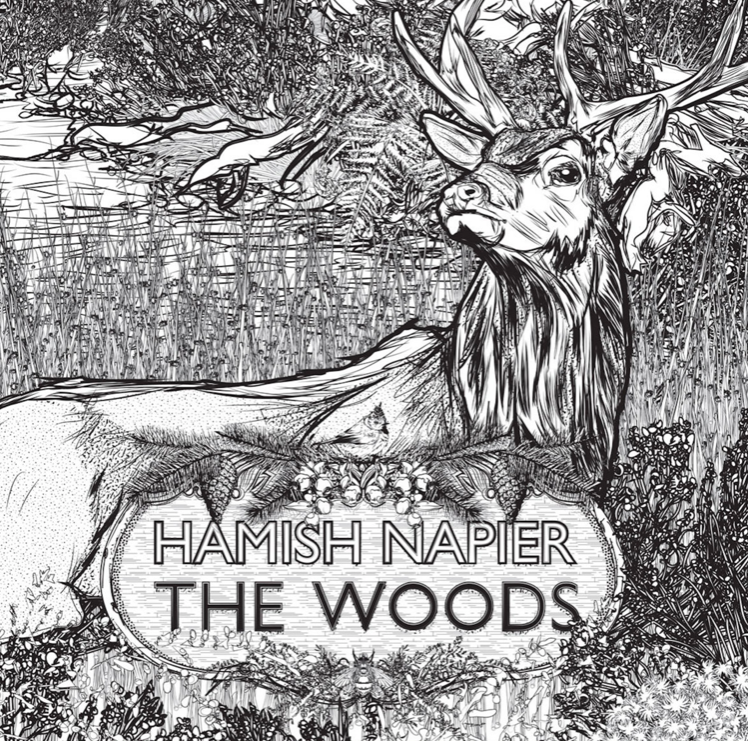 ...then there's  @NapierHamish's beautiful album The Woods, with Somhairle MacDonald. Just released. I've been listening to a lot in these hard weeks, and it's transported me to the Caledonian pine forest & the Cairngorms. You can listen too, here:  https://hamishnapier.bandcamp.com/album/the-woods 