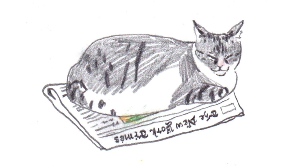 "One reason cats are happier than people
is that they have no newspapers."
— Gwendolyn Brooks, “In the Mecca”
 
🤔🗞️🐈

#Caturday #NationalPetDay #CatsOfTwitter  nyti.ms/2XsQ9s3