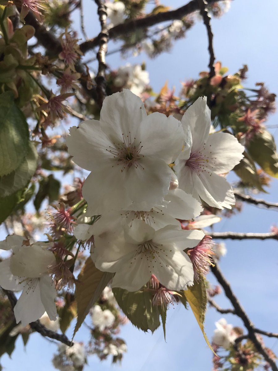 Valentina__Lou's tweet photo. ☀️🌸📷 https://t.co/rruq4vO8jS