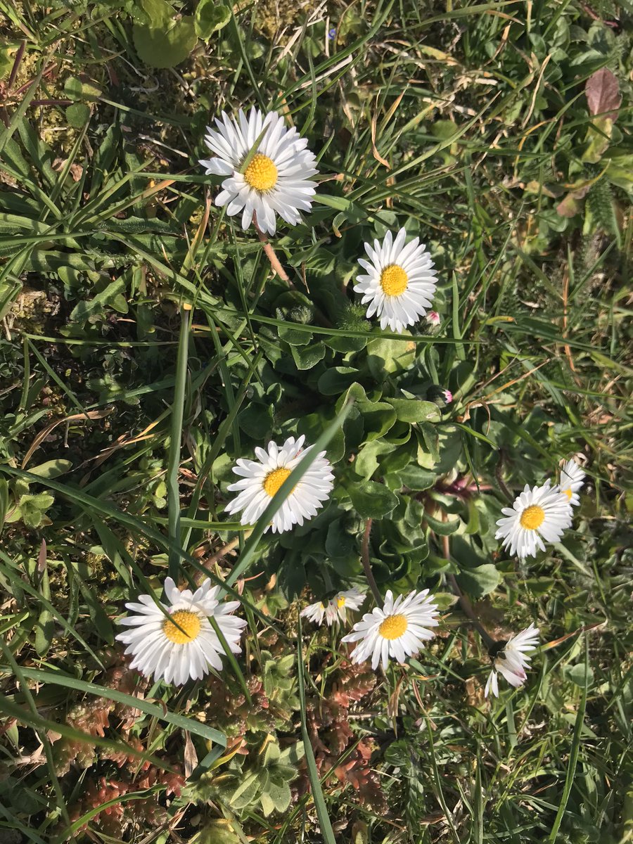 Valentina__Lou's tweet photo. ☀️🌸📷 https://t.co/rruq4vO8jS