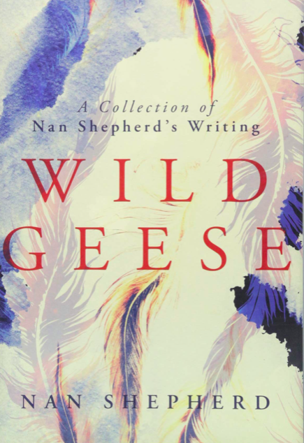 ...& for those who'd like to find out more about Nan's life and work, there's  @thecpeacock's wonderful biography of her, Into The Mountain.  @thecpeacock also edited Wild Geese, which gathers Nan's previously uncollected writings. Both are published by  @Galileobooks, who also...