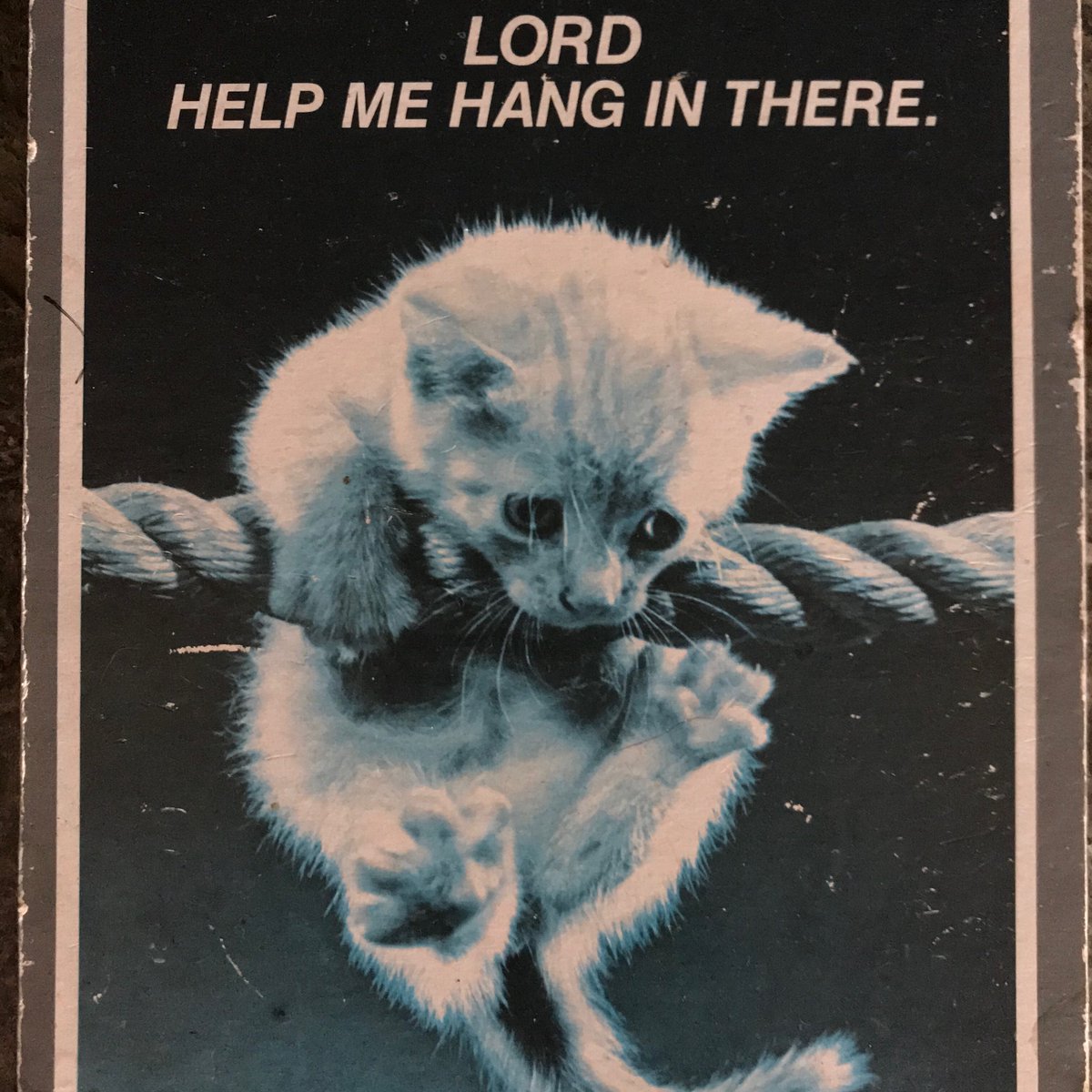 tigerslounge's tweet photo. “Lord help me hang in there” https://t.co/6hxuvLjzHR
