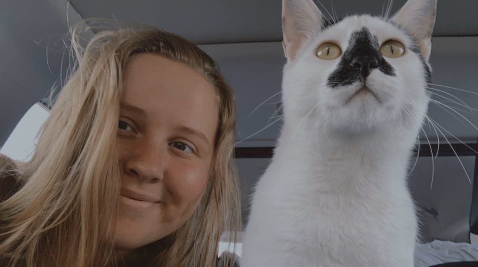 Mississippi State Softball tweet media