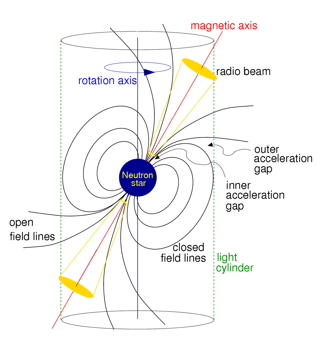 The distance (from the surface) where this happens is the radius of the so-called LIGHT CYLINDER! (Pulsar astronomy has the coolest names!) Figure from "Handbook of Pulsar Astronomy", by Duncan Lorimer ( @SenDuckworth) and Michael Kramer. 19/?