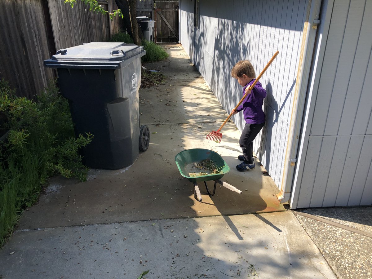 A preschooler with a full-sized rake is a good lesson in social distancing