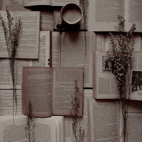 𝐦𝐢𝐬𝐬 𝐚𝐮𝐬𝐭𝐞𝐧 - 01/07 tweet media