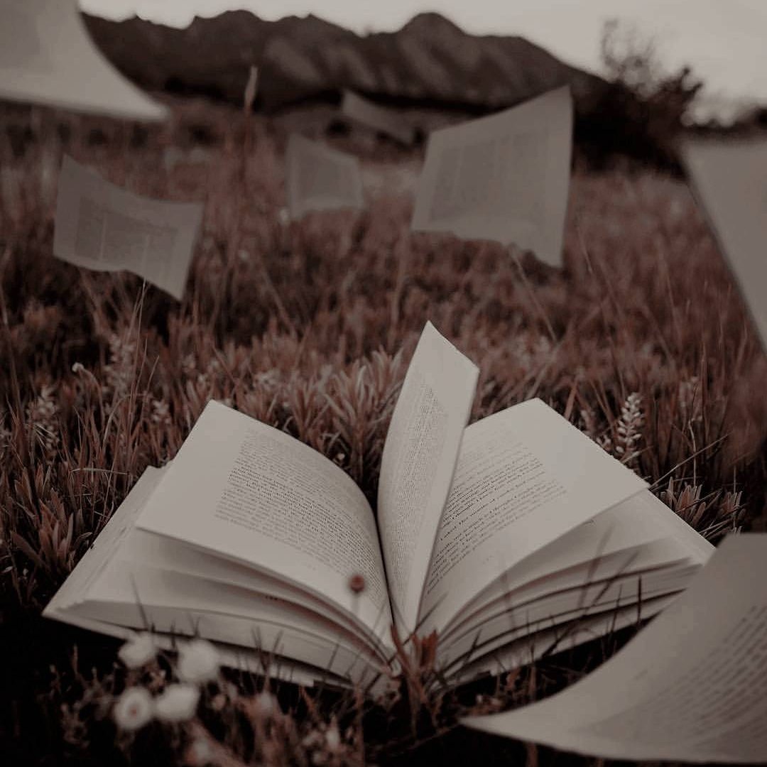 𝐦𝐢𝐬𝐬 𝐚𝐮𝐬𝐭𝐞𝐧 - 01/07 tweet media