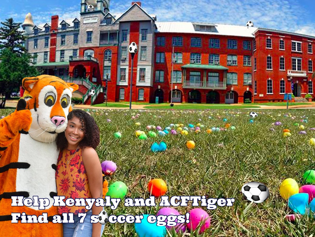 ACTigersWSoc's tweet photo. Egg Hunt on a Easter Sunday! #ACFTWS #EggHunt2020 #EasterSunday https://t.co/iBLj40LB2t