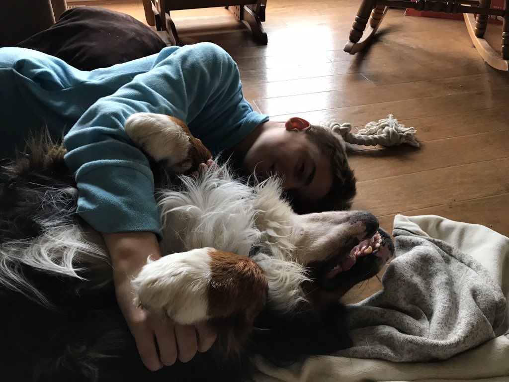 bunsenbernerbmd's tweet photo. It’s #NationalPetDay !
My dad is celebrating by making waffles, potatoes and eggs (and I’m going to get a waffle!)

To all the pets out there today keeping our humans company, and the pets who have had to say goodbye- you are the best!!!!
#pets #dogs #cats and others!! https://t.co/YmVV68JTri