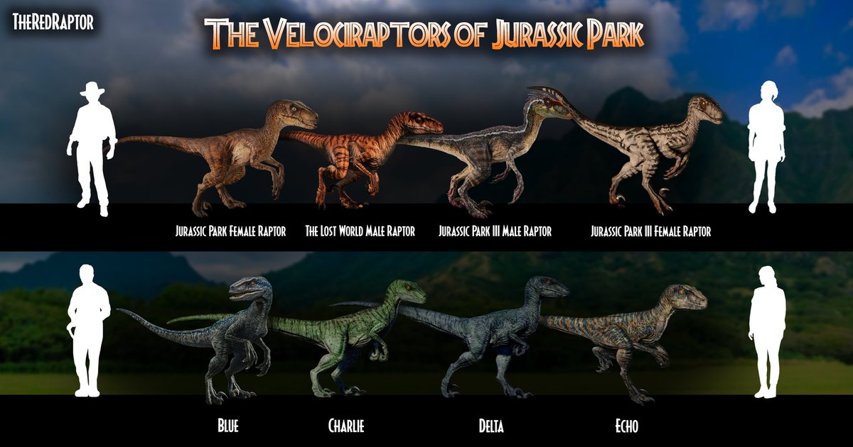 Raptors comparaison