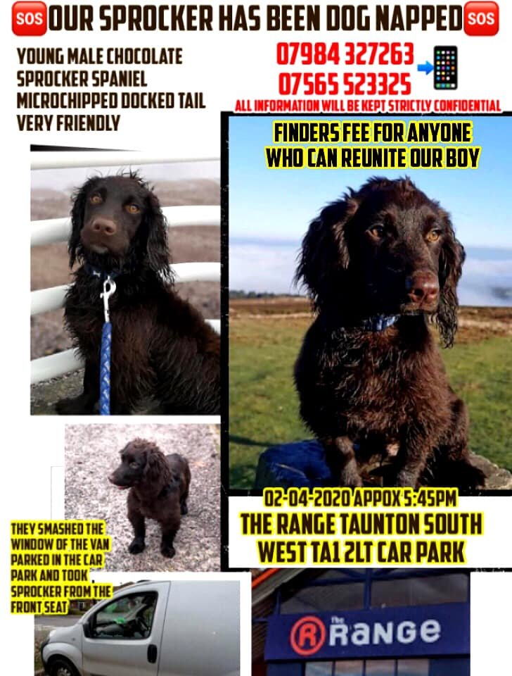 chris towers tweet media