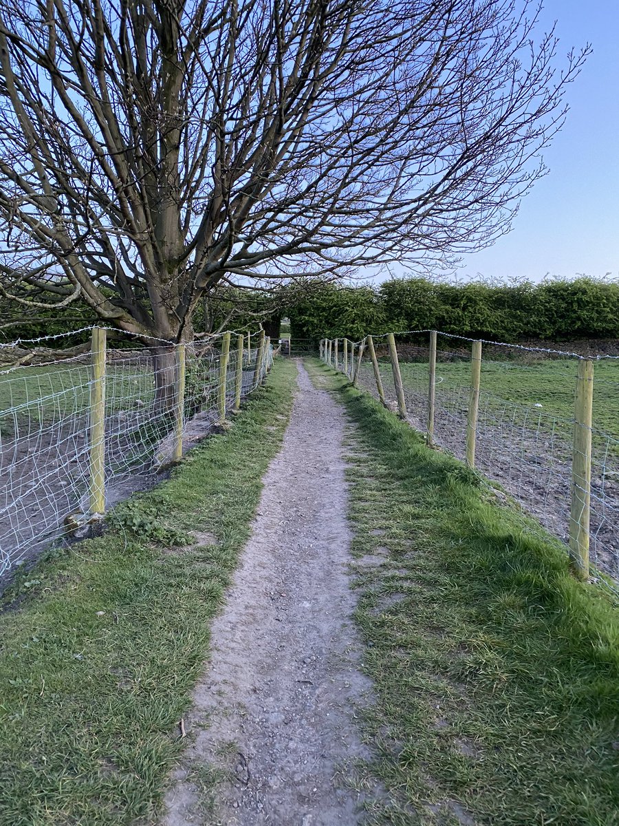 MissSmithKS2's tweet photo. Thankful to live so close to such a place. Green fields through the gate in the hedge! 😊 #HourExercise #LockdownLife #Walking https://t.co/LvpOX3dJXG