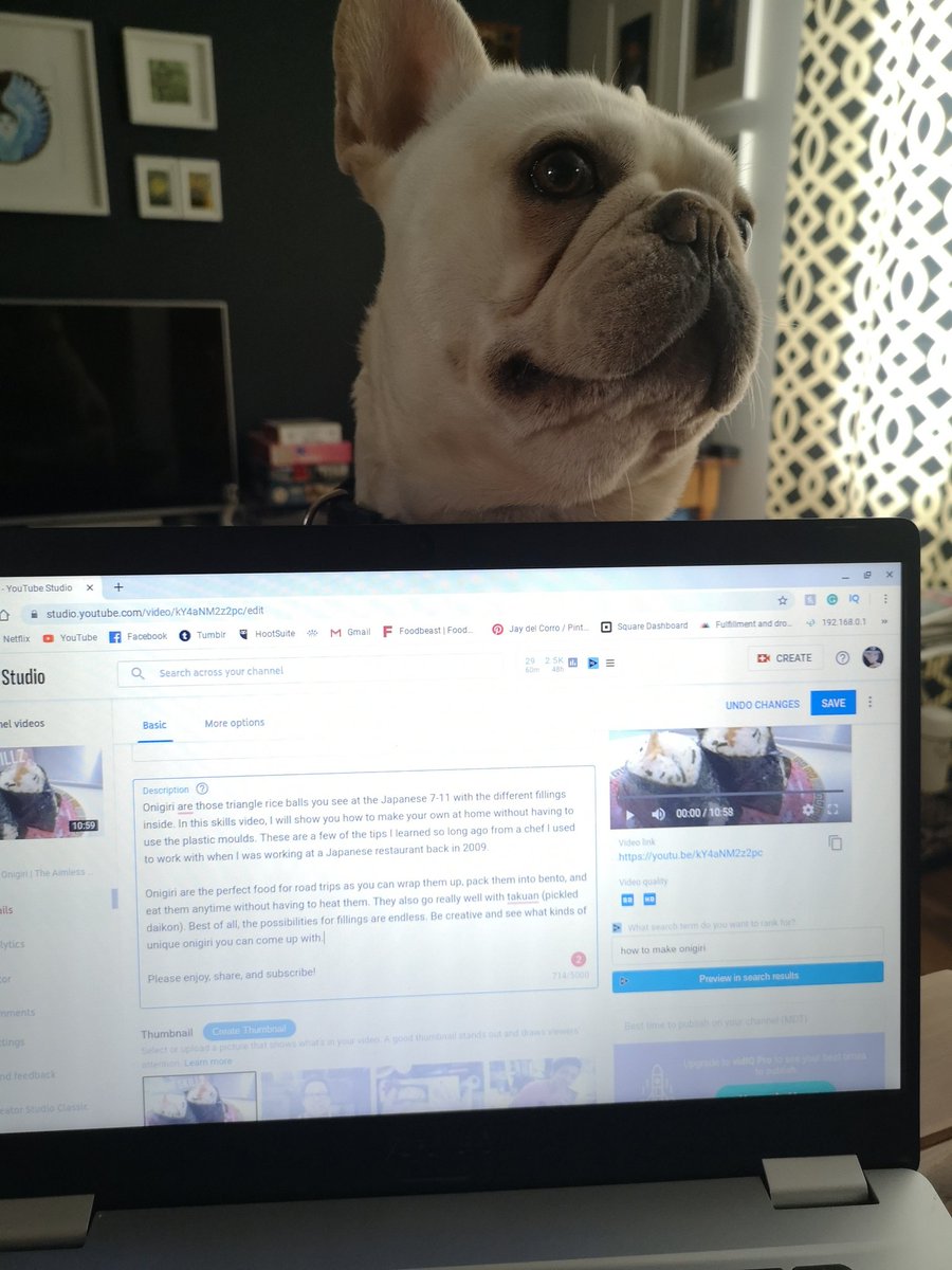 Someone low key wants to go for a walk.