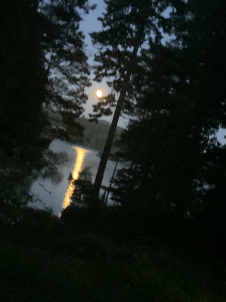 She made a beautiful bbq dinner for just the two of us on the same lakeside deck where I am typing this right now. And she told jokes and danced for our entertainment (and  @rocketspouse’s eternal embarrassment). I had never experienced anything like it. 16/