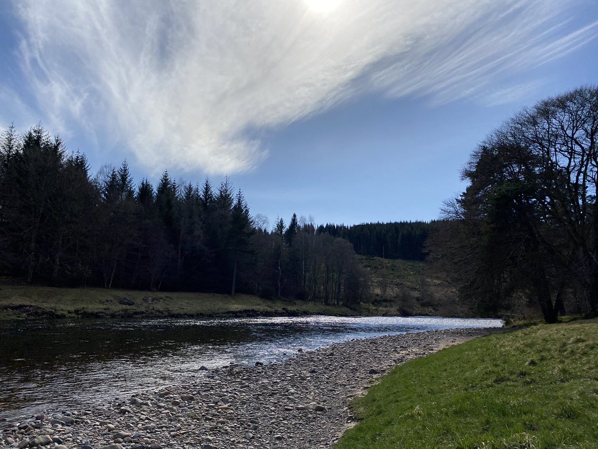 FergusonLegal's tweet photo. So lucky to live where we do. This on our doorstep... #deeside #inchmarlo https://t.co/UeBWvlj9Pk
