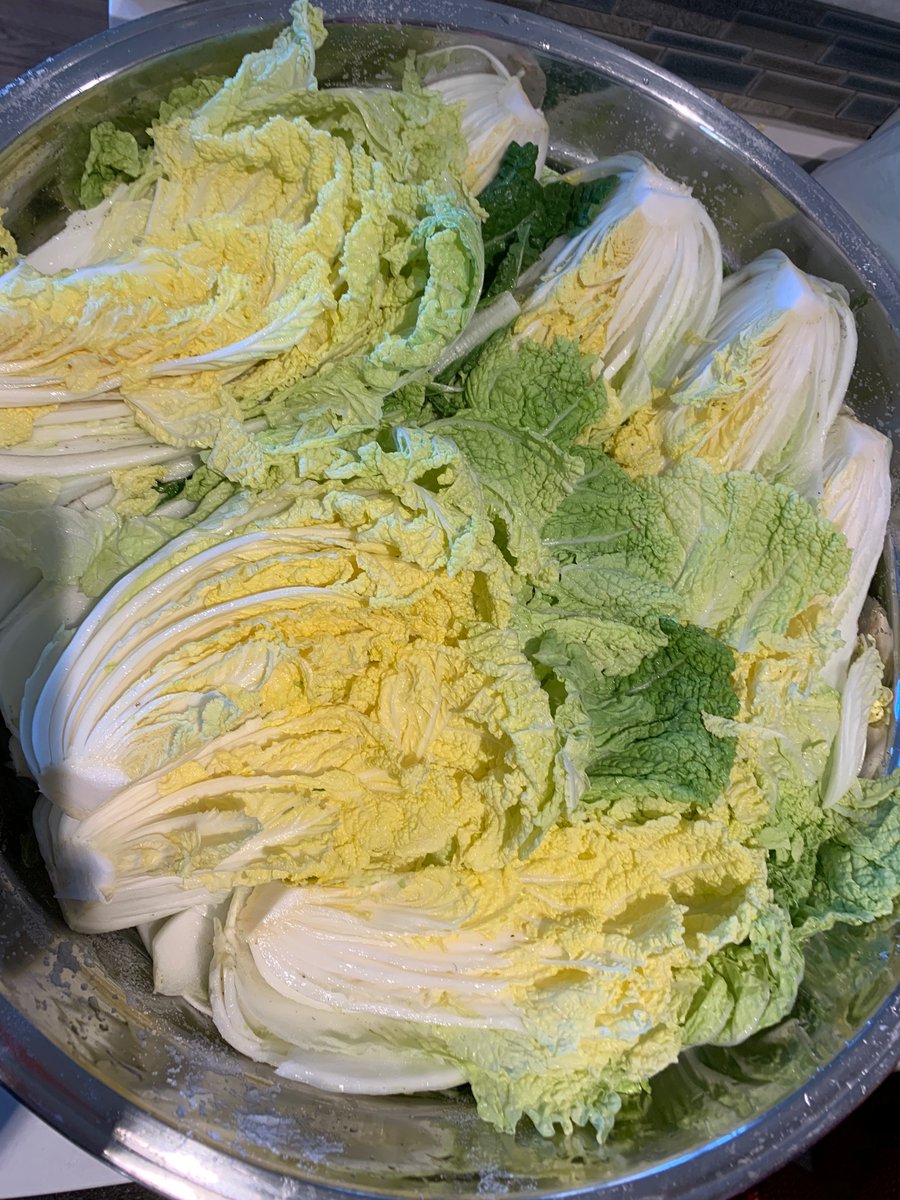 We’re finally done inspecting, quartering, one salt rinse, then salting between all the leaf layers of a box of Napa cabbage. My arm for scale on the bowl. We’ll let it sit for ~3 hours.  #quarantinekimchee  #kimjang  #김장