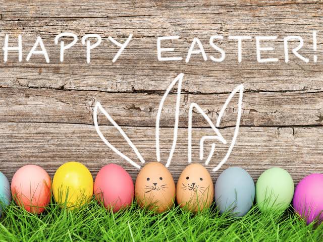 DivingQLD's tweet image. Happy Easter to all our Divers 🐇🌈 #divingqld