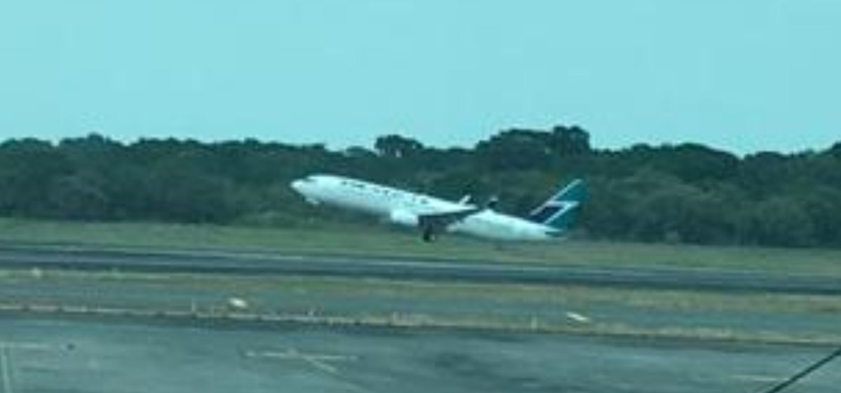 CanEmbPanama's tweet photo. Wheels up! Thanks to @Westjet for bringing another 123 passengers home. In total near to 3000 Canadians have been repatriated since the start of #COVID19

Thanks to the Government of Panama for facilitating yet another repatriation flight  #JuntosSaldremosAdelante https://t.co/g9VRDzvtHr