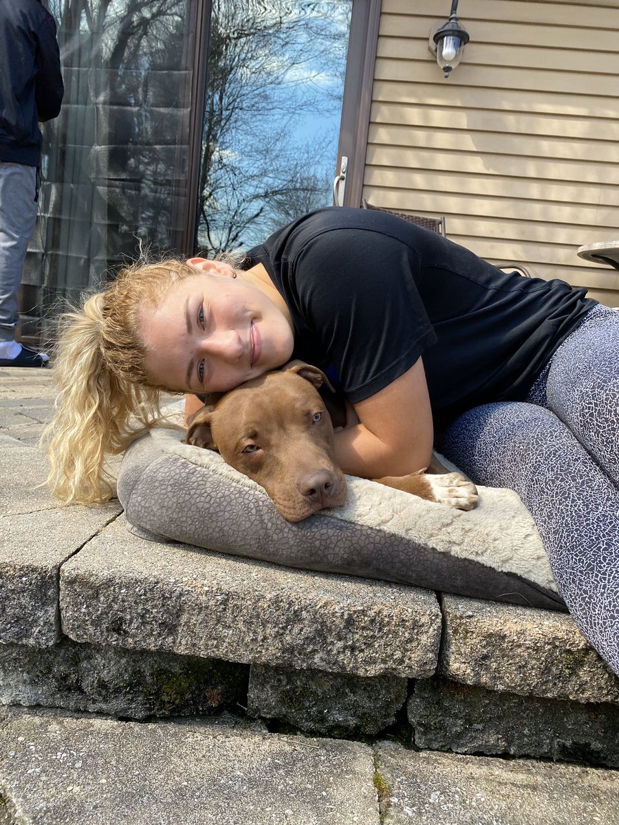 DePaulWBBHoops's tweet photo. #NationalPetDay 

Dee is celebrating with her pups too! Meet Ginger and Pablo! 🐶😊🐶 https://t.co/xPYp3Cz1Br