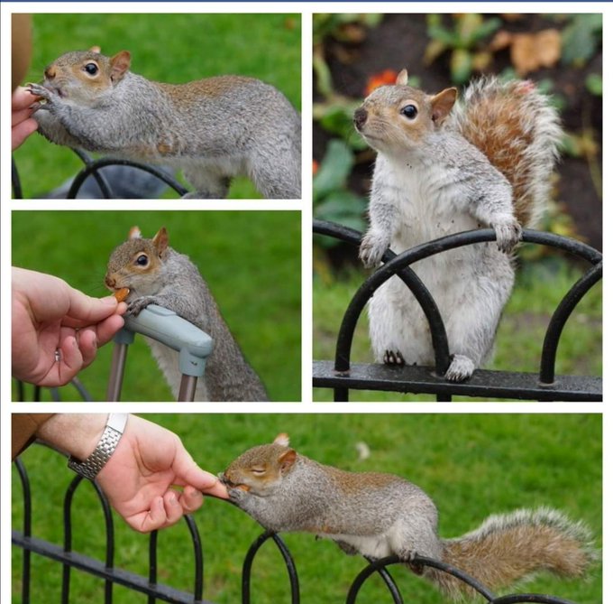 ShadowhuntersOE's tweet photo. @MorganaLFay @VVitch8 @notsilentsis @TyphoniasS 😳😳😳😳My husband has allied with them . #Shadowhunters #Squirrelhunters #SaveShadowhunters https://t.co/OLxpzOZoo0