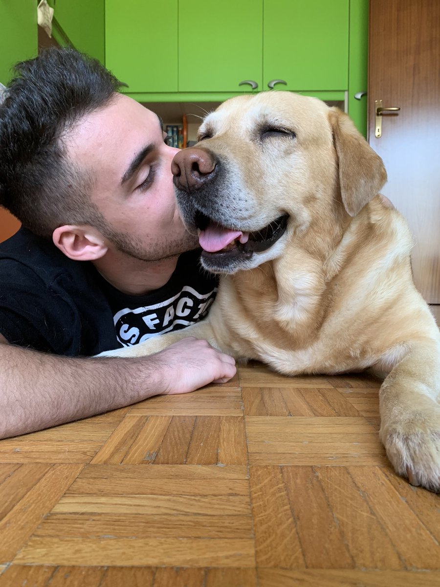 Darietto🦦 tweet media