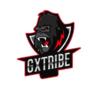 GxTribe's tweet photo. #NewProfilePic https://t.co/xr4YTXxQCR