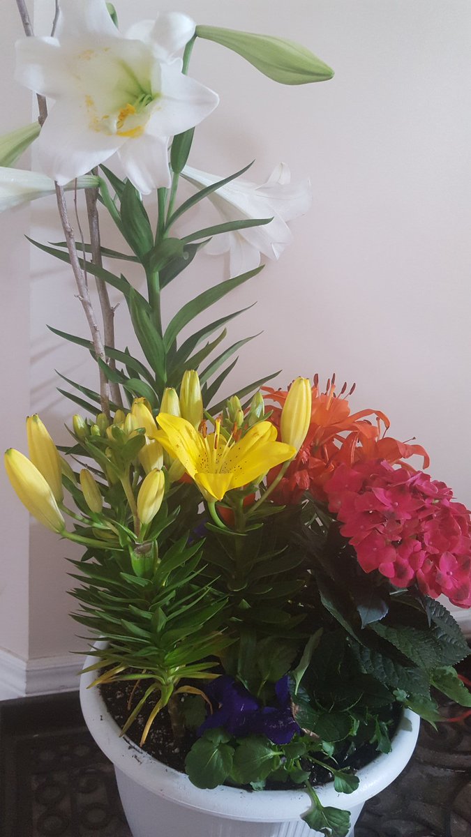 deSousaFam's tweet photo. Even though Easter can't be normal like the last. Family is Everything! Thank you @Family_Flowers 
#supportlocal #stthomasproud #EasterWeekend https://t.co/bTrS2xluyZ