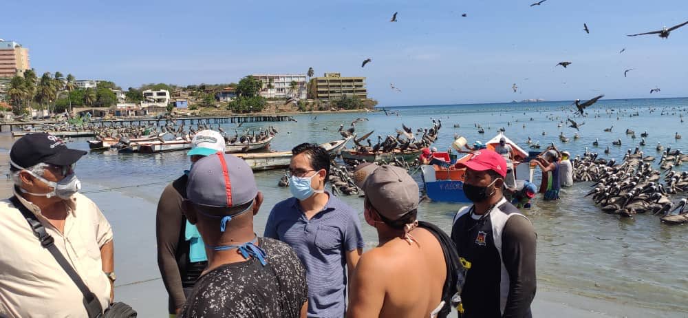 DanteRivasQ's tweet photo. Nuestros productores del mar en Pampatar plenamente activos aportando proteínas para el pueblo. Hoy con una calada de 200 toneladas de sardinas para distribuir a todos los neoespartanos para apoyarlos en la cuarentena #Covid-19 #QuédateEnCasa https://t.co/YJKOE5peJq