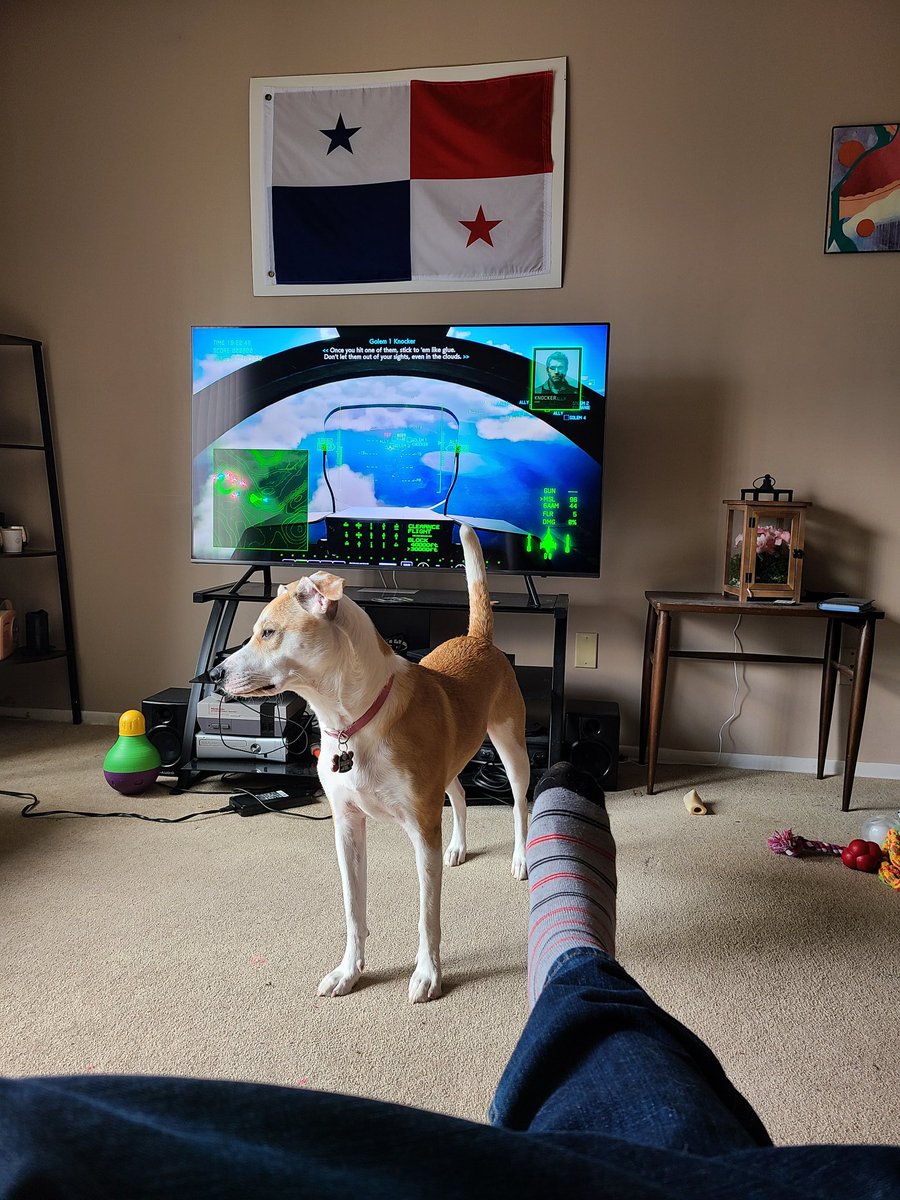 Kent Winner tweet media