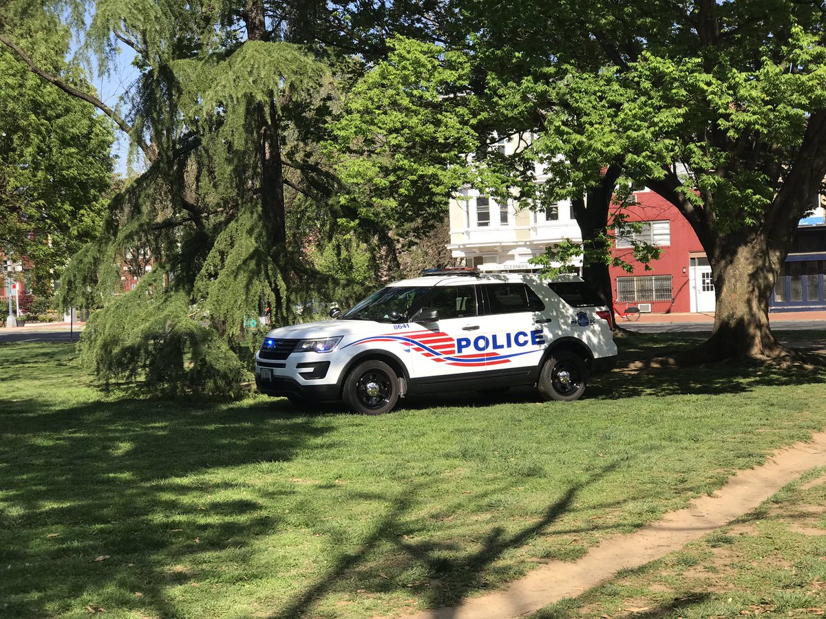 A walk in the park on a sunny April afternoon. Right now on Constitution Avenue and 13th St NE in Washington DC.  @ChrisPlanteShow  #MakeChinaPay