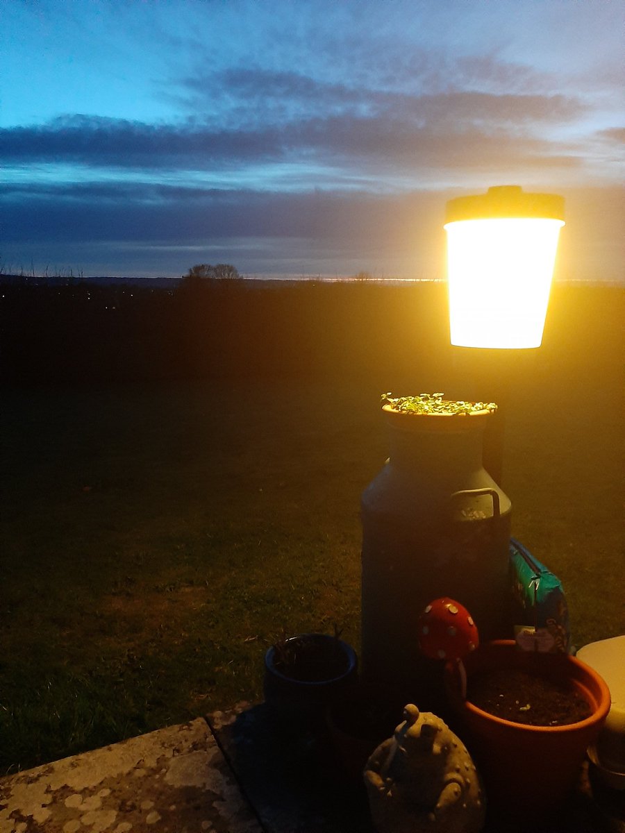 ktRedGold's tweet photo. #ShineYourLight https://t.co/IJ4zaY6mS5