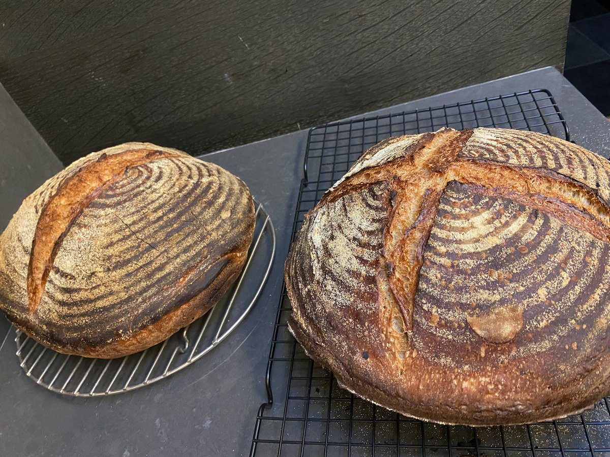 #Sourdough #bread, fresh out of the oven!  Home made deliciousness from only flour, water, salt, and natural yeast from the air.  Try San Francisco sourdough #yeast culture available from wild-culture.com and YOU can #bake artisan bread at home naturally. #WildCulture