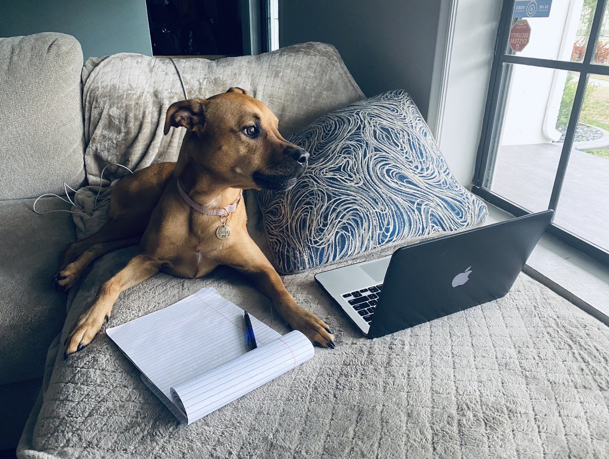 MoniqueOMadan's tweet photo. It runs in the family 🖊 🗒 🗞

#ReadLocal #ReadRuby https://t.co/Lr5DKVmHdo
